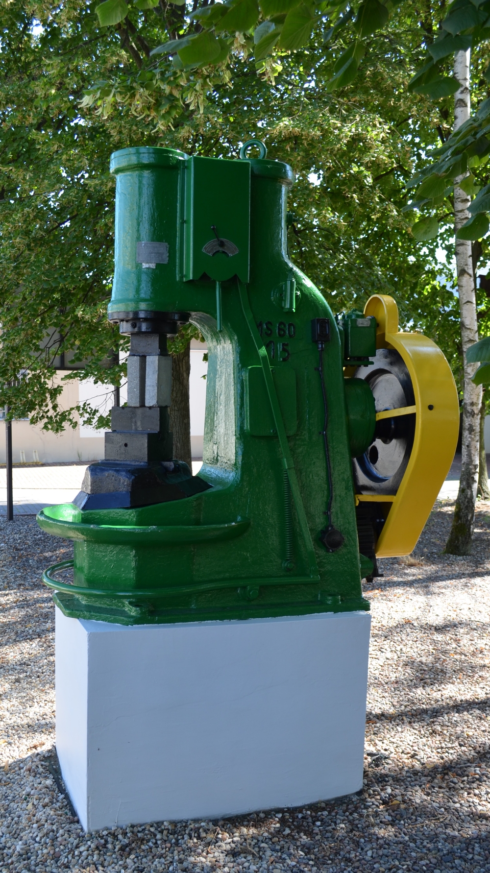 DSC_6637a